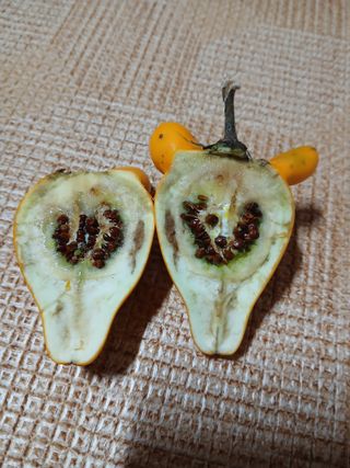 인생은 소풍처럼님의 자유주제 · 자유게시판 작성글 사진