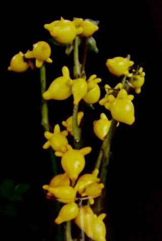 인생은 소풍처럼님의 자유주제 · 자유게시판 작성글 사진