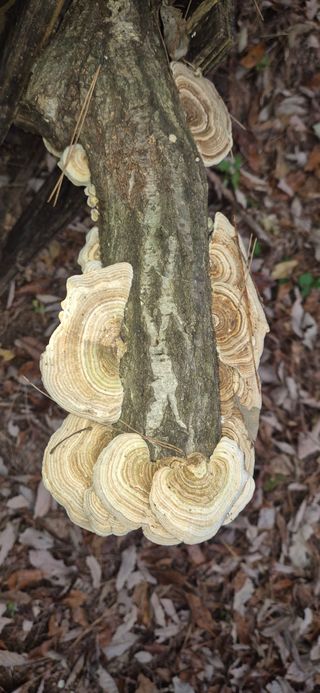 달팽이님의 농사, 무엇이든 물어보세요! · 참여글 작성글 사진