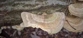 달팽이님의 농사, 무엇이든 물어보세요! · 참여글 작성글 사진