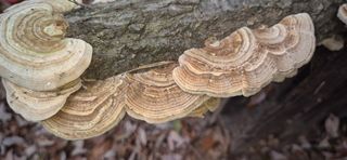 달팽이님의 농사, 무엇이든 물어보세요! · 참여글 작성글 사진