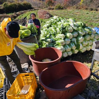 백용기님의 자유주제 · 자유게시판 작성글 사진