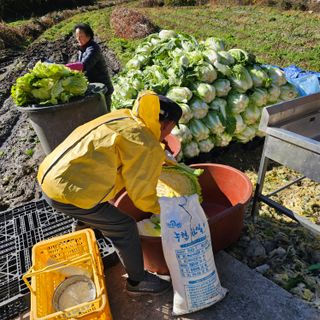 백용기님의 자유주제 · 자유게시판 작성글 사진