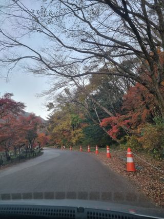 김양석님의 자유주제 · 자유게시판 작성글 사진