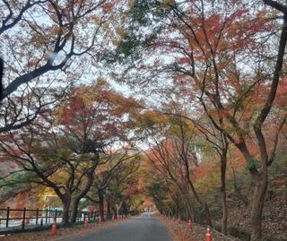 김양석님의 자유주제 · 자유게시판 작성글 사진