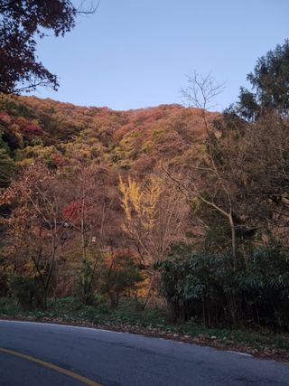 김양석님의 자유주제 · 자유게시판 작성글 사진