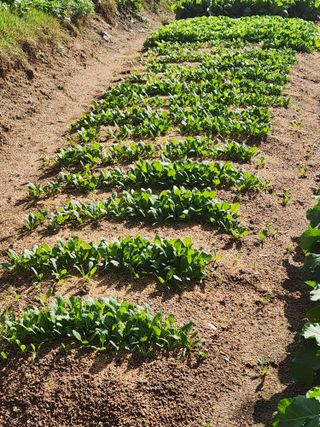 이대석님의 자유주제 · 자유게시판 작성글 사진