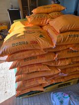 팜모닝 자유주제·자유게시판 게시글 이미지