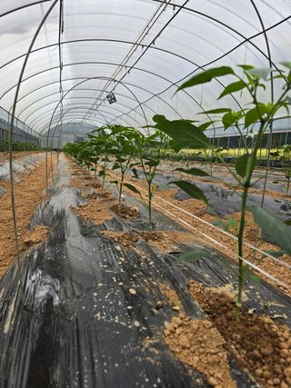 나주 박정화님의 자유주제 · 자유게시판 작성글 사진