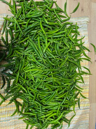 나주 박정화님의 자유주제 · 자유게시판 작성글 사진