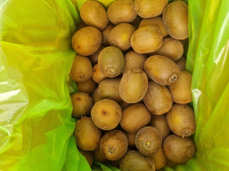 장터 상품 [골드키위5Kg] 썸네일