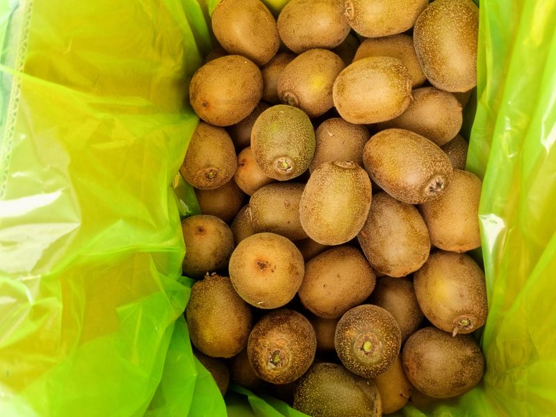 배15412님의 장터 판매 상품 [골드키위5Kg] 첨부 사진