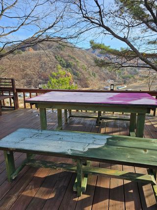 홍천산채농원 조원영님의 자유주제 · 자유게시판 작성글 사진