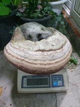 팜모닝 · 게시글 이미지