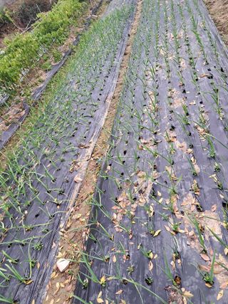 울산연안님의 자유주제 · 자유게시판 작성글 사진