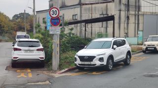 백창석님의 배추 · 영농일지 작성글 사진