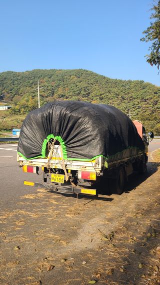백창석님의 배추 · 영농일지 작성글 사진