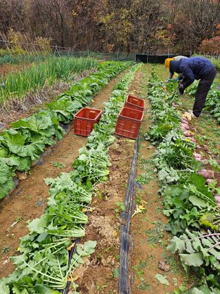 손현순님의 자유주제 · 자유게시판 작성글 사진