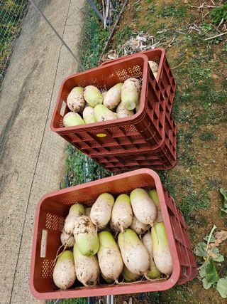 손현순님의 자유주제 · 자유게시판 작성글 사진