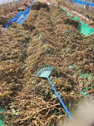 김창순님의 콩 · 영농일지 작성글 사진