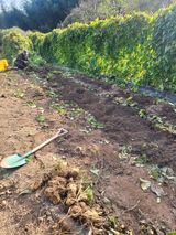 팜모닝 자유주제·자유게시판 게시글 이미지