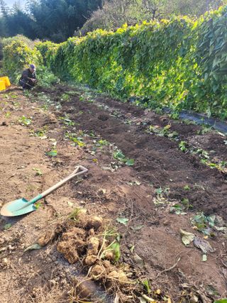 사과농사님의 자유주제 · 자유게시판 작성글 사진