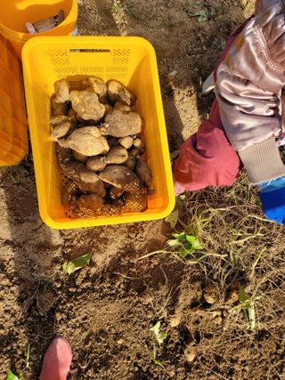 사과농사님의 자유주제 · 자유게시판 작성글 사진