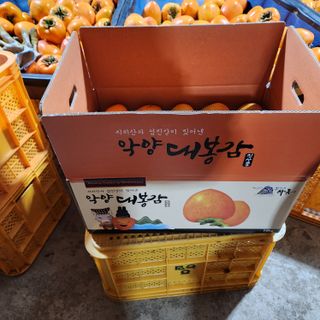 하동삼삼오오님의 작성글 사진