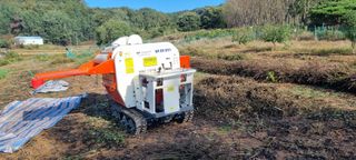 상촌농장 영가이버님의 들깨 · 영농일지 작성글 사진