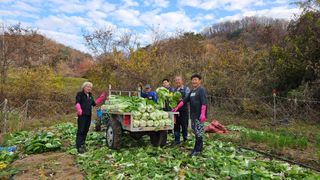 정영진님의 우리집 김장 자랑하기 · 참여글 작성글 사진