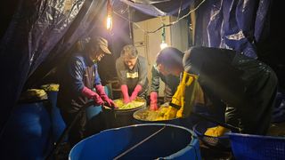 정영진님의 우리집 김장 자랑하기 · 참여글 작성글 사진