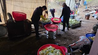 정영진님의 우리집 김장 자랑하기 · 참여글 작성글 사진