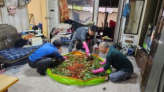 정영진님의 우리집 김장 자랑하기 · 참여글 작성글 사진