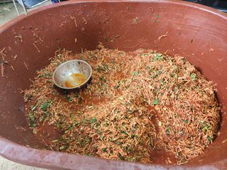 허인숙님의 우리집 김장 자랑하기 · 참여글 작성글 사진