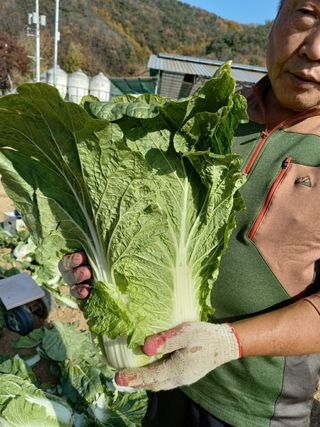 김영문님의 자유주제 · 자유게시판 작성글 사진