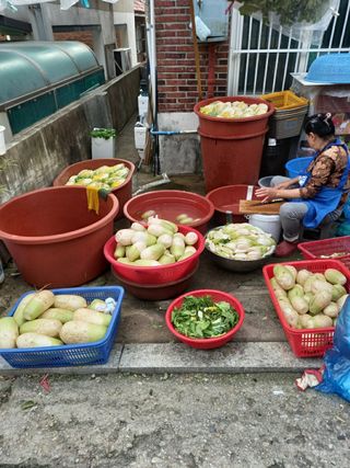 김영문님의 자유주제 · 자유게시판 작성글 사진