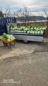 팜모닝 우리집 김장 자랑하기·참여글 게시글 이미지