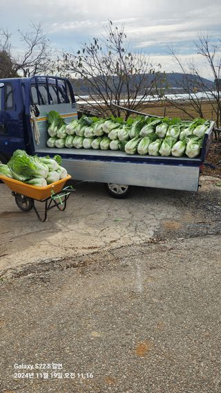 趙吉衍님의 우리집 김장 자랑하기 · 참여글 작성글 사진