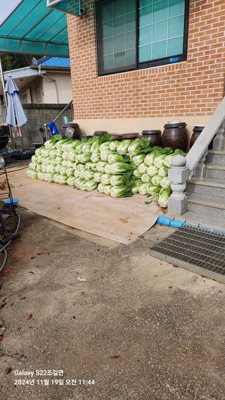 趙吉衍님의 우리집 김장 자랑하기 · 참여글 작성글 사진