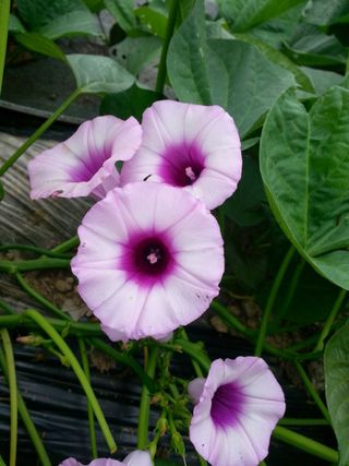 홍성호님의 자유주제 · 자유게시판 작성글 사진