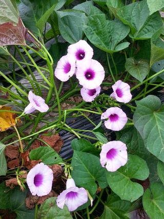 홍성호님의 자유주제 · 자유게시판 작성글 사진