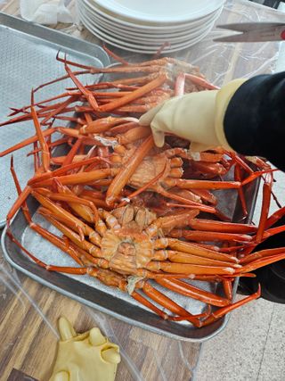 노가네수산님의 자유주제 · 자유게시판 작성글 사진