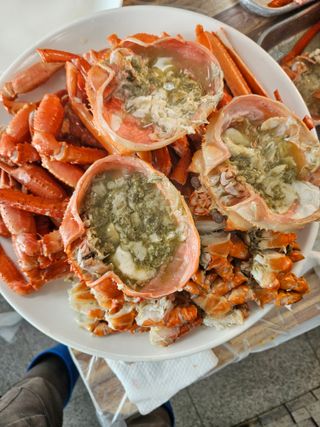 노가네수산님의 자유주제 · 자유게시판 작성글 사진