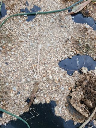 투유님의 자유주제 · 자유게시판 작성글 사진