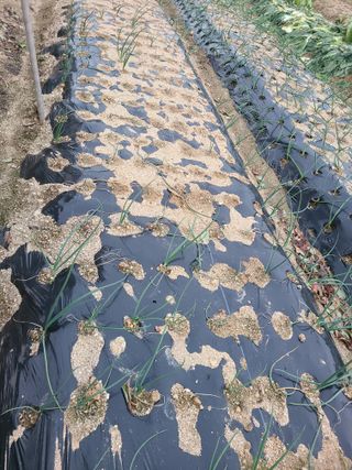 투유님의 자유주제 · 자유게시판 작성글 사진