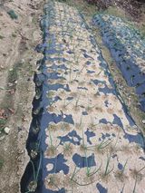 팜모닝 농사, 무엇이든 물어보세요!·참여글 게시글 이미지