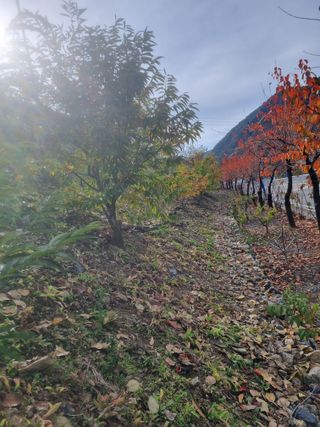 김용대님의 자유주제 · 자유게시판 작성글 사진