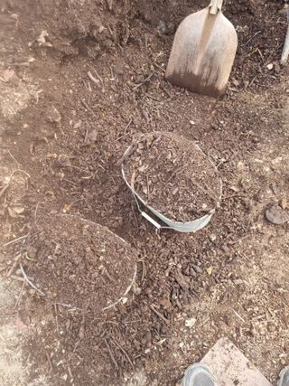 김용대님의 자유주제 · 자유게시판 작성글 사진