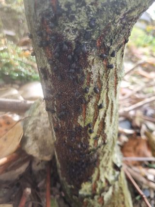 김용대님의 자유주제 · 자유게시판 작성글 사진