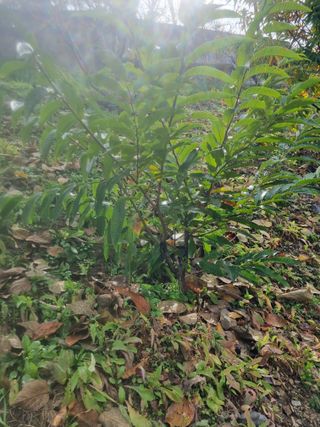 김용대님의 자유주제 · 자유게시판 작성글 사진